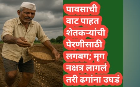 पावसाची वाट पाहत शेतकऱ्यांची पेरणीसाठी लगबग; मृग नक्षत्र लागलं तरी...!