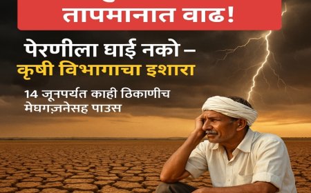 "राज्यात मान्सून रखडला; 14 जूनपर्यंत तापमान वाढीचा इशारा – पेरणीला घाई नको"