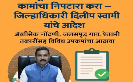"१० जूनपर्यंत सर्व प्रलंबित कामांचा निपटारा करा – जिल्हाधिकारी दिलीप स्वामी यांचे आदेश"
