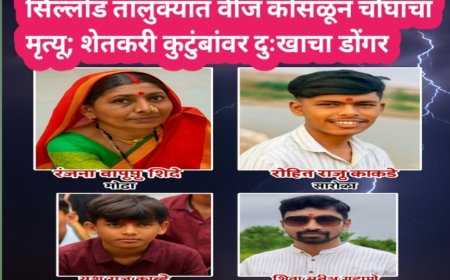 सिल्लोड तालुक्यात वीज कोसळून चौघांचा मृत्यू; शेतकरी कुटुंबांवर दुःखाचा डोंगर