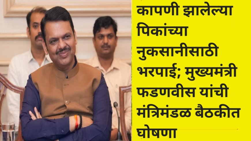 कापणी झालेल्या पिकांच्या नुकसानीसाठी भरपाई; मुख्यमंत्री फडणवीस यांची मंत्रिमंडळ बैठकीत घोषणा