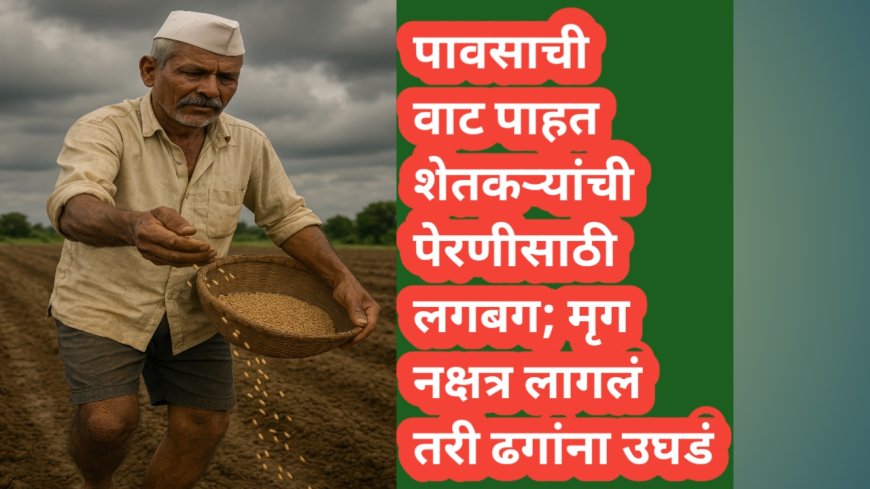 पावसाची वाट पाहत शेतकऱ्यांची पेरणीसाठी लगबग; मृग नक्षत्र लागलं तरी...!