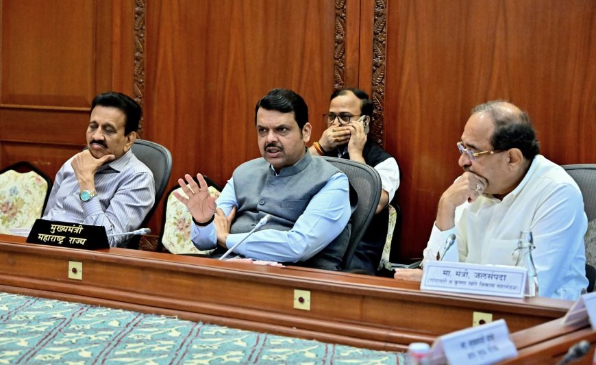 सिंचन व जलविद्युत प्रकल्पांना गती : मुख्यमंत्री देवेंद्र फडणवीस यांचे निर्देश, ३० लाख हेक्टर क्षेत्र सिंचनाखाली येणार