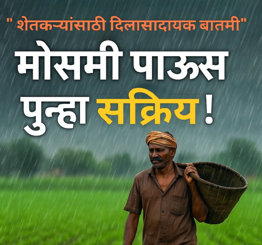 " शेतकऱ्यांसाठी दिलासादायक बातमी" मोसमी पाऊस पुन्हा सक्रिय!"