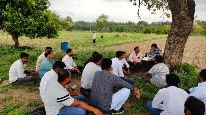 अधिकारी थेट शेतकऱ्यांच्या बांधावर! जिल्हाधिकारी दिलीप स्वामींची अभिनव संकल्पना