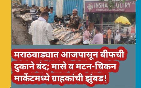 मराठवाड्यात आजपासून बीफची दुकाने बंद; मासे व मटन-चिकन मार्केटमध्ये ग्राहकांची झुंबड!