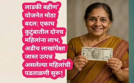 ‘लाडकी बहीण’ योजनेत मोठा बदल: एकाच कुटुंबातील दोनच महिलांना लाभ, अडीच लाखांपेक्षा जास्त उत्पन्न असलेल्या महिलांची पडताळणी सुरू!