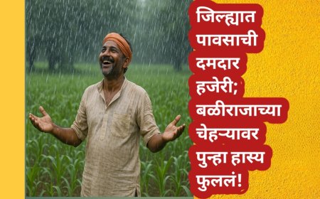 जिल्ह्यात पावसाची दमदार हजेरी; बळीराजाच्या चेहऱ्यावर पुन्हा हास्य फुललं!