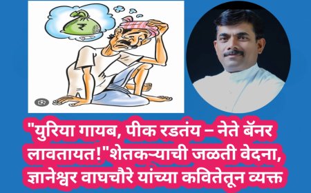 "युरिया गायब, पीक रडतंय – नेते बॅनर लावतायत!" शेतकऱ्याची जळती वेदना, ज्ञानेश्वर वाघचौरे यांच्या कवितेतून व्यक्त