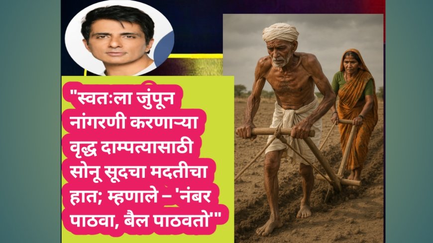 "स्वतःला जुंपून नांगरणी करणाऱ्या वृद्ध दाम्पत्यासाठी सोनू सूदचा मदतीचा हात; म्हणाले – 'नंबर पाठवा, बैल पाठवतो'"