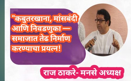 "कबुतरखाना, मांसबंदी आणि निवडणुका — समाजात तेढ निर्माण करण्याचा प्रयत्न!" : राज ठाकरे