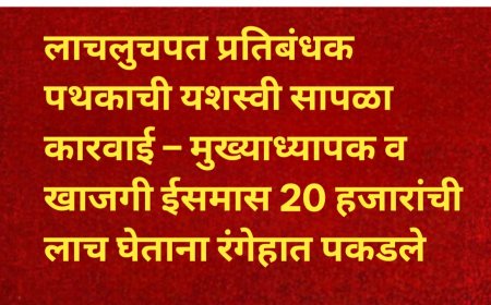 लाचलुचपत प्रतिबंधक पथकाची यशस्वी सापळा कारवाई – मुख्याध्यापक व खाजगी ईसमास 20 हजारांची लाच घेताना रंगेहात पकडले