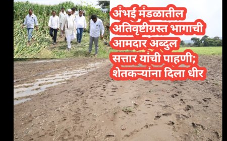 अंभई मंडळातील अतिवृष्टीग्रस्त भागाची आमदार अब्दुल सत्तार यांची पाहणी; शेतकऱ्यांना दिला धीर