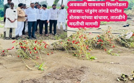 अवकाळी पावसाचा सिल्लोडला तडाखा; पांडुरंग तांगडे पाटील शेतकऱ्यांच्या बांधावर, तातडीने मदतीची मागणी