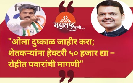 "ओला दुष्काळ जाहीर करा; शेतकऱ्यांना हेक्टरी ५० हजार द्या – आ.रोहीत पवारांची मागणी"