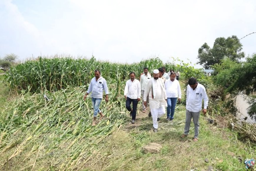अंभई मंडळातील अतिवृष्टीग्रस्त भागाची आमदार अब्दुल सत्तार यांची पाहणी; शेतकऱ्यांना दिला धीर
