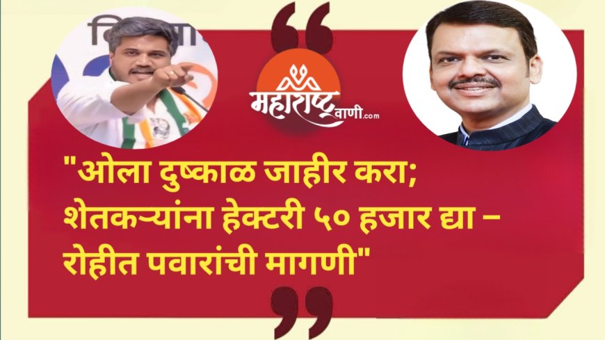 "ओला दुष्काळ जाहीर करा; शेतकऱ्यांना हेक्टरी ५० हजार द्या – आ.रोहीत पवारांची मागणी"