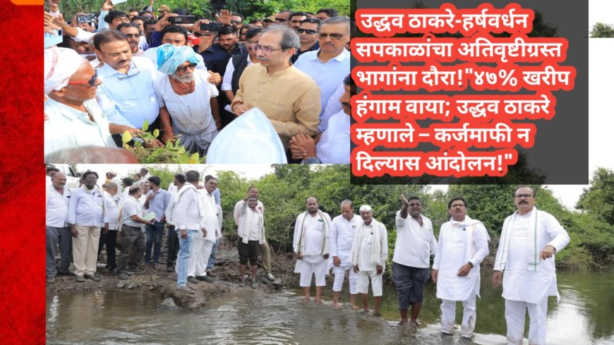 कर्जमाफीचा आवाज बुलंद; उद्धव ठाकरे-हर्षवर्धन सपकाळांचा अतिवृष्टीग्रस्त भागांना दौरा!"४७% खरीप हंगाम वाया; उद्धव ठाकरे म्हणाले – कर्जमाफी न दिल्यास आंदोलन!"