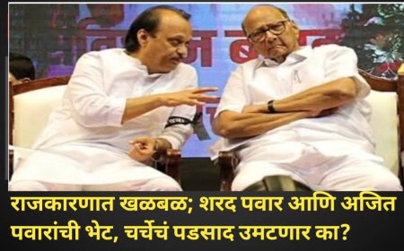 राजकारणात खळबळ; शरद पवार आणि अजित पवारांची भेट, चर्चेचं पडसाद उमटणार का?