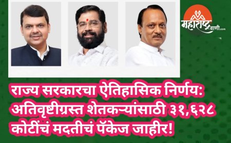 राज्य सरकारचा ऐतिहासिक निर्णय: अतिवृष्टीग्रस्त शेतकऱ्यांसाठी ३१,६२८ कोटींचं मदतीचं पॅकेज जाहीर!