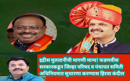 इद्रीस मुलतानींची मागणी मान्य! फडणवीस सरकारकडून जिल्हा परिषद व पंचायत समिती अधिनियमात सुधारणा करण्यास हिरवा कंदील