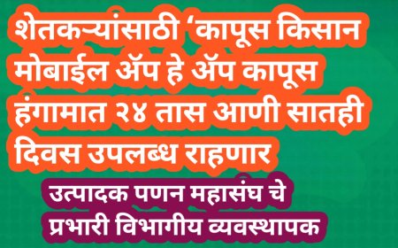 शेतकऱ्यांसाठी ‘कापूस किसान मोबाईल ॲप’ कापूस हंगामात २४ तास आणि आठवड्याचे सातही दिवस उपलब्ध राहणार