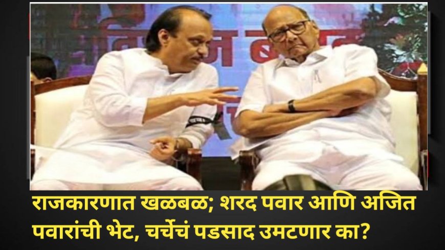 राजकारणात खळबळ; शरद पवार आणि अजित पवारांची भेट, चर्चेचं पडसाद उमटणार का?