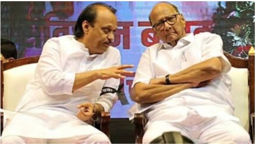 राजकारणात खळबळ; शरद पवार आणि अजित पवारांची भेट, चर्चेचं पडसाद उमटणार का?