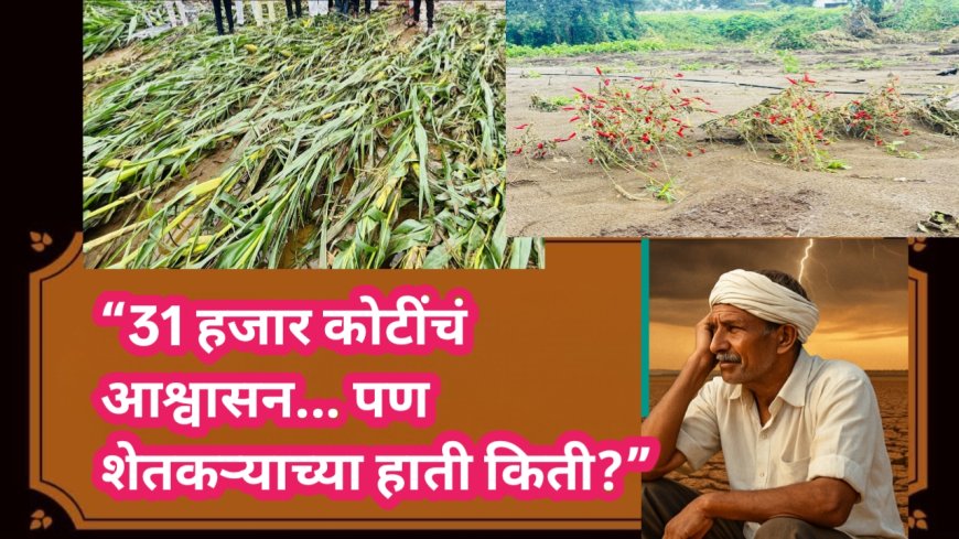 “31 हजार कोटींचं आश्वासन... पण शेतकऱ्याच्या हाती किती?”