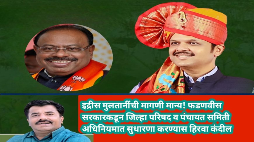 इद्रीस मुलतानींची मागणी मान्य! फडणवीस सरकारकडून जिल्हा परिषद व पंचायत समिती अधिनियमात सुधारणा करण्यास हिरवा कंदील