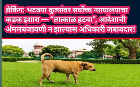 भटक्या कुत्र्यांवर सर्वोच्च न्यायालयाचा कडक इशारा — “तात्काळ हटवा”, आदेशाची अंमलबजावणी न झाल्यास अधिकारी जबाबदार!