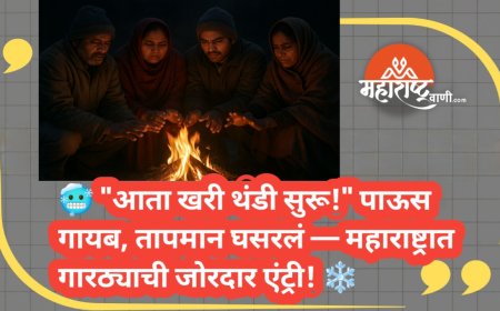 🥶 "आता खरी थंडी सुरू!" पाऊस गायब, तापमान घसरलं — महाराष्ट्रात गारठ्याची जोरदार एंट्री! ❄️