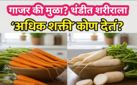 गाजर की मुळा? हिवाळ्यात शरीरासाठी कोण अधिक गुणकारी? जाणून घ्या तज्ज्ञांची महत्त्वाची माहिती!