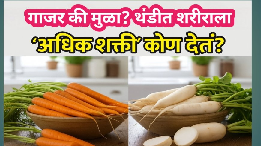 गाजर की मुळा? हिवाळ्यात शरीरासाठी कोण अधिक गुणकारी? जाणून घ्या तज्ज्ञांची महत्त्वाची माहिती!