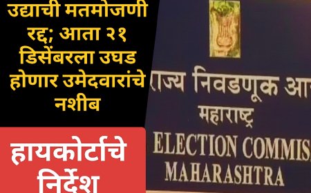 मोठा बदल! उद्याची मतमोजणी रद्द; आता २१ डिसेंबरला उघड होणार उमेदवारांचे नशीब, हायकोर्टाचे निर्देश