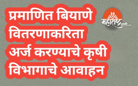 प्रमाणित बियाणे वितरणाकरिता अर्ज करण्याचे कृषी विभागामार्फत आवाहन