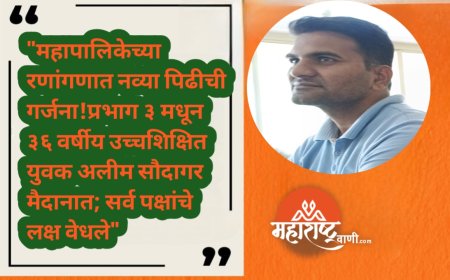 "महापालिकेच्या रणांगणात नव्या पिढीची गर्जना!प्रभाग ३ मधून ३६ वर्षीय उच्चशिक्षित युवक अलीम सौदागर मैदानात; सर्व पक्षांचे लक्ष वेधले"