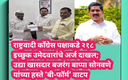 राष्ट्रवादी काँग्रेस पक्षाकडे २१८ इच्छुक उमेदवारांचे अर्ज दाखल; उद्या खासदार बजरंग बाप्पा सोनवणे यांच्या हस्ते ‘बी-फॉर्म’ वाटप