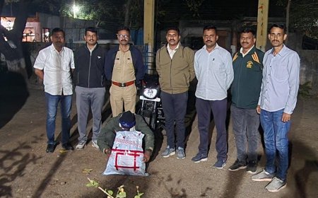 गांजा विक्रीवर पोलिसांचा घाव! स्थानिक गुन्हे शाखेची धडक कारवाई, १.५० लाखांचा मुद्देमाल जप्त
