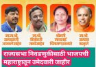 राज्यसभा निवडणुकीसाठी भाजपची महाराष्ट्रातून उमेदवारी जाहीर