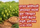 हरभरा खरेदीसाठी ऑनलाइन नोंदणी सुरू; जिल्ह्यात ९ खरेदी केंद्रांना मंजुरी, हमीभाव ५८७५ रुपये