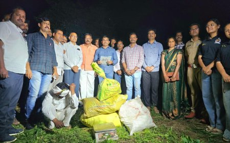 करमाडमध्ये गांजाच्या शेतीवर धडक कारवाई; ५.३१ लाखांचा मुद्देमाल जप्त, आरोपी अटकेत