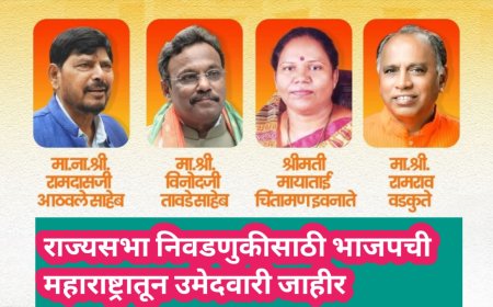 राज्यसभा निवडणुकीसाठी भाजपची महाराष्ट्रातून उमेदवारी जाहीर