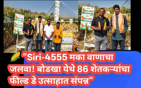 🌽 “Siri-4555 मका वाणाचा जलवा! बोडखा येथे 86 शेतकऱ्यांचा फील्ड डे उत्साहात संपन्न”