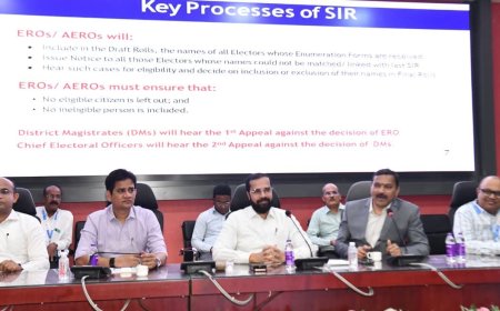 ३० मार्चपर्यंत मतदार यादी पडताळणी पूर्ण करा; जिल्हाधिकाऱ्यांचे बीएलओंना कडक निर्देश