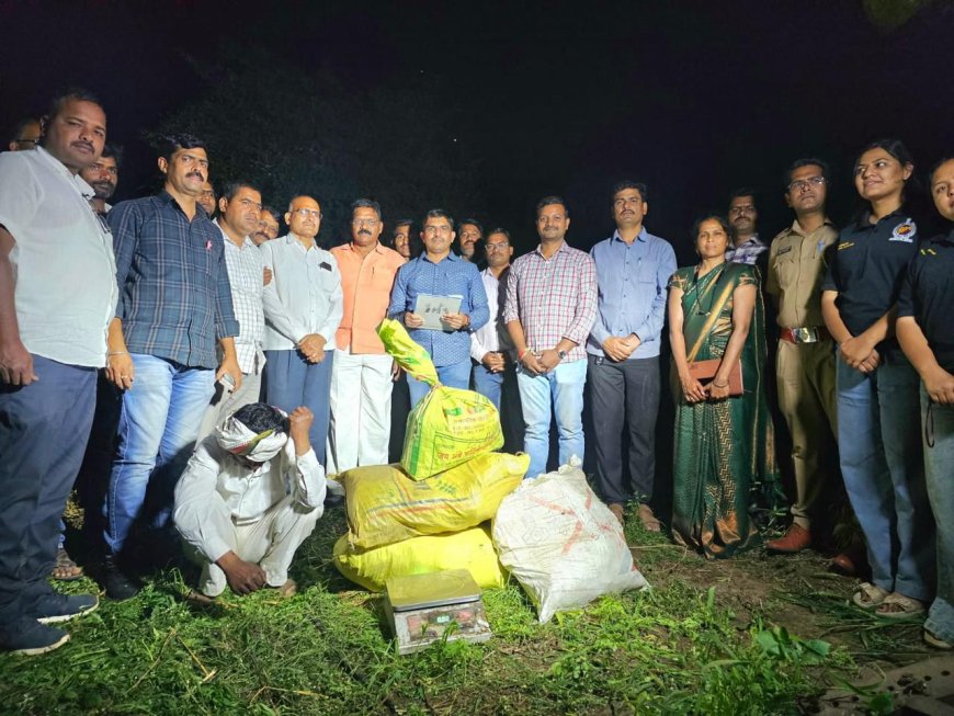 करमाडमध्ये गांजाच्या शेतीवर धडक कारवाई; ५.३१ लाखांचा मुद्देमाल जप्त, आरोपी अटकेत