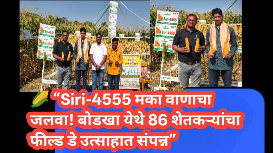 🌽 “Siri-4555 मका वाणाचा जलवा! बोडखा येथे 86 शेतकऱ्यांचा फील्ड डे उत्साहात संपन्न”