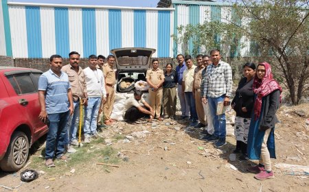 नारेगावमध्ये ड्रग्सवर पोलिसांचा मोठा घाव; ५३ किलो गांजा व कारसह ३१ लाखांचा मुद्देमाल जप्त!