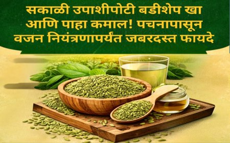 सकाळी उपाशीपोटी बडीशेप खा आणि पाहा कमाल! पचनापासून वजन नियंत्रणापर्यंत जबरदस्त फायदे