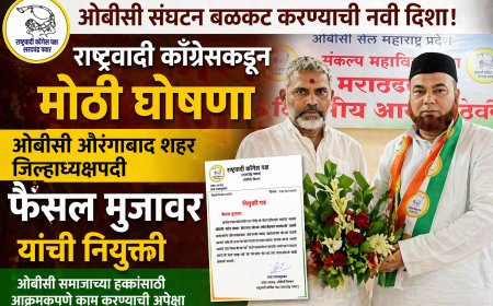 ‘राष्ट्रवादी’कडून ओबीसी संघटन मजबूत करण्याची मोहीम; फैसल मुजावर यांची शहर जिल्हाध्यक्षपदी नियुक्ती